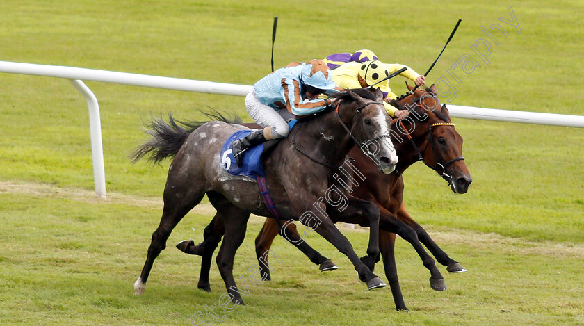 Garbanzo-0001 
 GARBANZO (left, Liam Keniry) beats SHARJA SILK (right) in The Get Daily Tips For Free On attheraces.com Handicap
Ffos Las 14 Aug 2018 - Pic Steven Cargill / Racingfotos.com