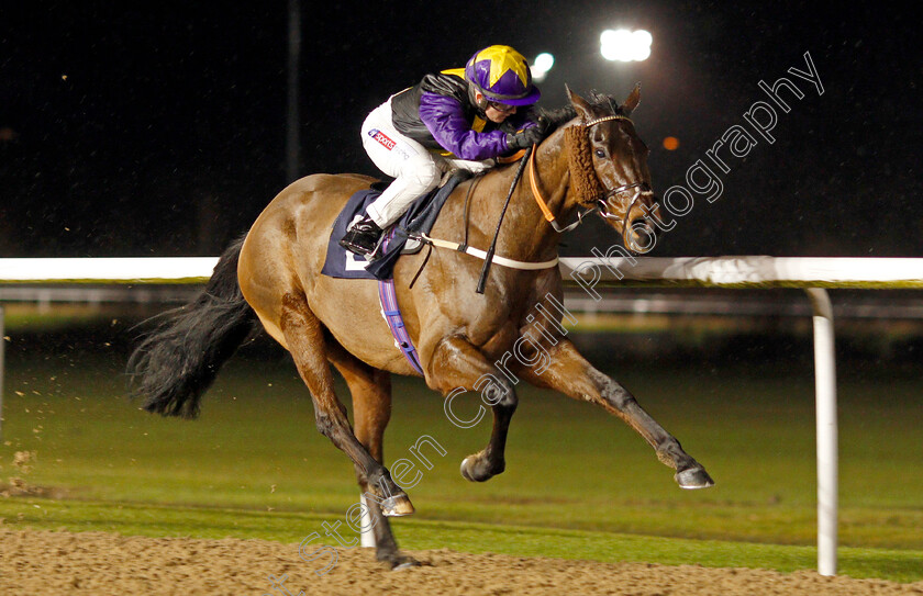 Rainbow-Dreamer-0009 
 RAINBOW DREAMER (Hollie Doyle) wins The Betway Conditions Stakes
Wolverhampton 13 Jan 2020 - Pic Steven Cargill / Racingfotos.com