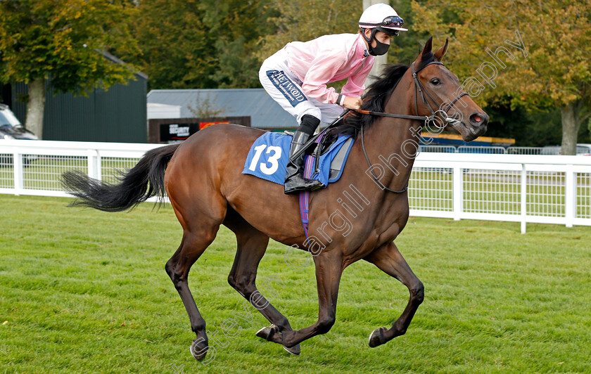 Pensada-0001 
 PENSADA (Harry Bentley)
Salisbury 1 Oct 2020 - Pic Steven Cargill / Racingfotos.com