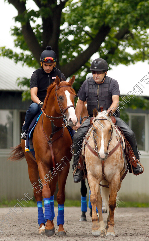 Justify-0003 
 JUSTIFY (Martine Garcia) exercising in preparation for The Belmont Stakes
Belmont Park USA 7 Jun 2018 - Pic Steven Cargill / Racingfotos.com