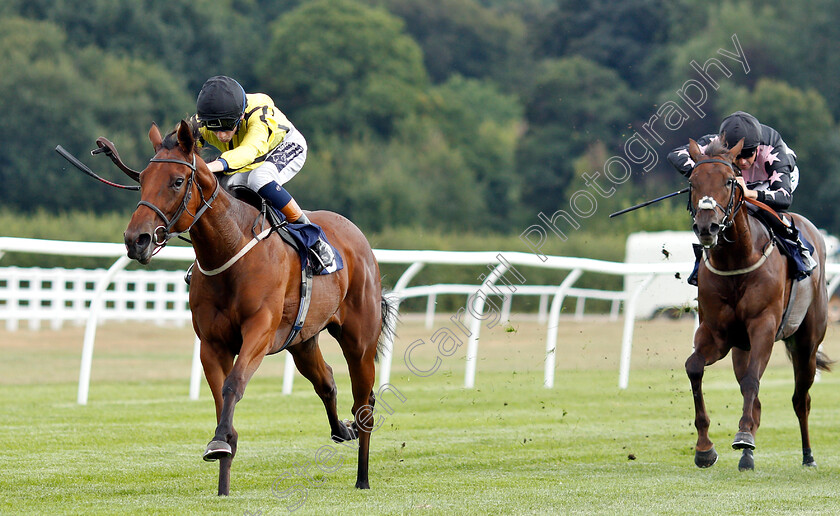 Solesmes-0002 
 SOLESMES (David Egan) wins The 188bet Live Casino Claiming Stakes
Lingfield 25 Jul 2018 - Pic Steven Cargill / Racingfotos.com