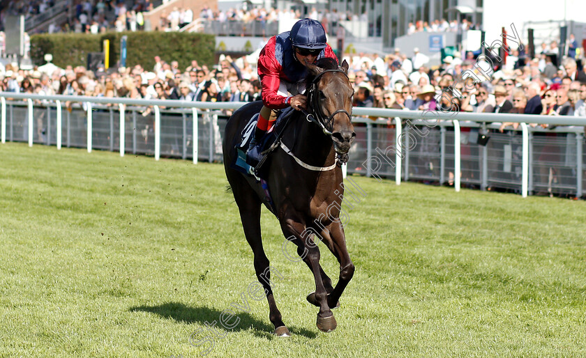 Caravela-0003 
 CARAVELA (Andrea Atzeni) wins The EBF Breeders Series Fillies Handicap
Goodwood 1 Aug 2018 - Pic Steven Cargill / Racingfotos.com