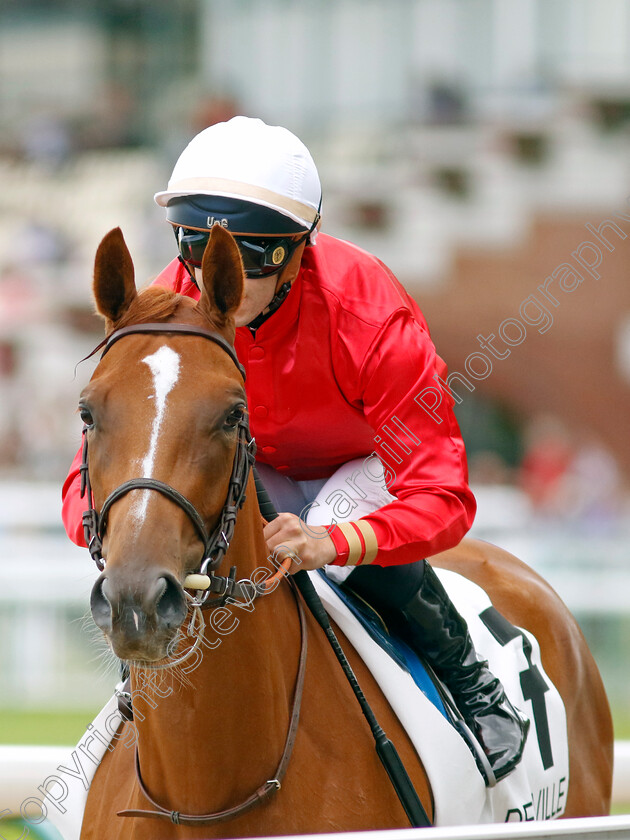 Orlhena-0001 
 ORLHENA (L Boisseau)
Deauville 12 Aug 2023 - Pic Steven Cargill / Racingfotos.com