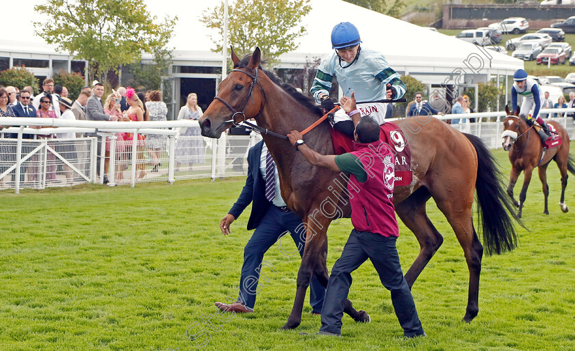 Quickthorn-0011 
 QUICKTHORN (Tom Marquand) winner of The Al Shaqab Goodwood Cup
Goodwood 1 Aug 2023 - Pic Steven Cargill / Racingfotos.com