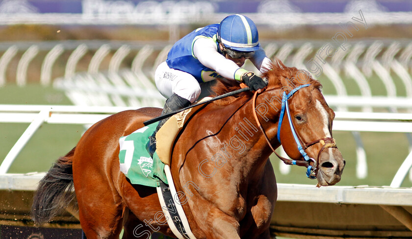 Red-Flag-0003 
 RED FLAG (Umberto Rispoli) wins The Ocean View Allowance
Del Mar USA 1 Nov 2024 - Pic Steven Cargill / Racingfotos.com