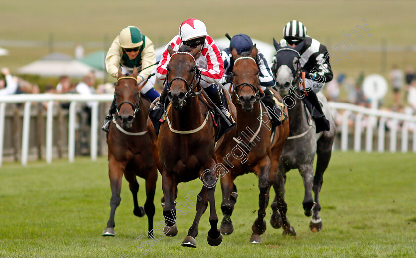 Adaay-To-Remember-0001 
 ADAAY TO REMEMBER (Hollie Doyle) wins The Maritime Cargo Fillies Handicap
Newmarket 31 Jul 2021 - Pic Steven Cargill / Racingfotos.com