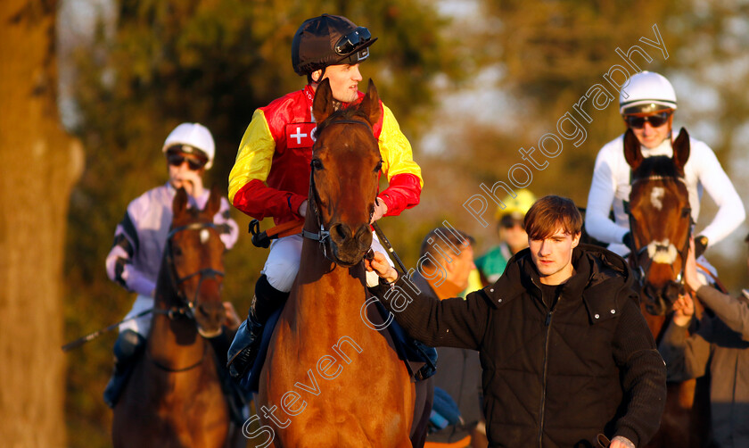 Beautiful-Crown-0001 
 BEAUTIFUL CROWN (Harry Burns)
Lingfield 21 Jan 2023 - Pic Steven Cargill / Racingfotos.com