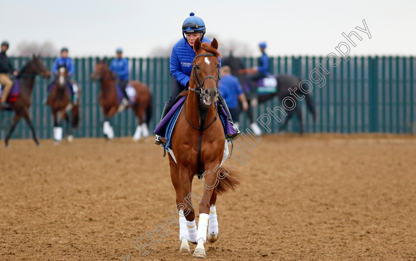 Modern-Games-0002 
 MODERN GAMES training for the Breeders' Cup Mile
Keeneland USA 1 Nov 2022 - Pic Steven Cargill / Racingfotos.com