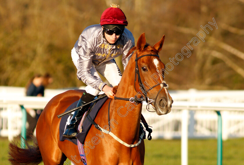 Al-Daiha-0002 
 AL DAIHA (Luke Morris)
Lingfield 10 Jan 2020 - Pic Steven Cargill / Racingfotos.com