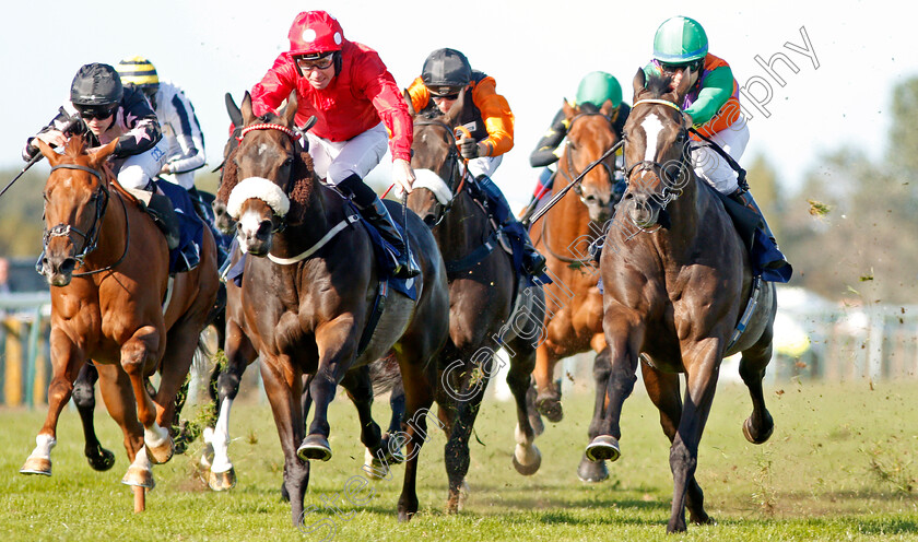 Daschas-0002 
 DASCHAS (right, Marco Ghiani) beats HOLMESWOOD (centre) and THEGREATESTSHOWMAN (left) in The Danny & Peggy Wright Memorial Handicap
Yarmouth 18 Sep 2019 - Pic Steven Cargill / Racingfotos.com