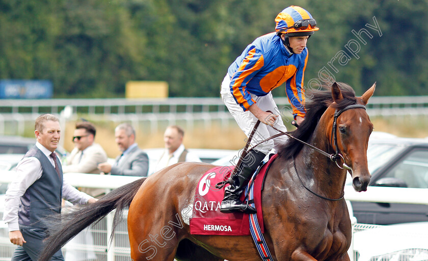 Hermosa-0001 
 HERMOSA (Ryan Moore)
Goodwood 1 Aug 2019 - Pic Steven Cargill / Racingfotos.com