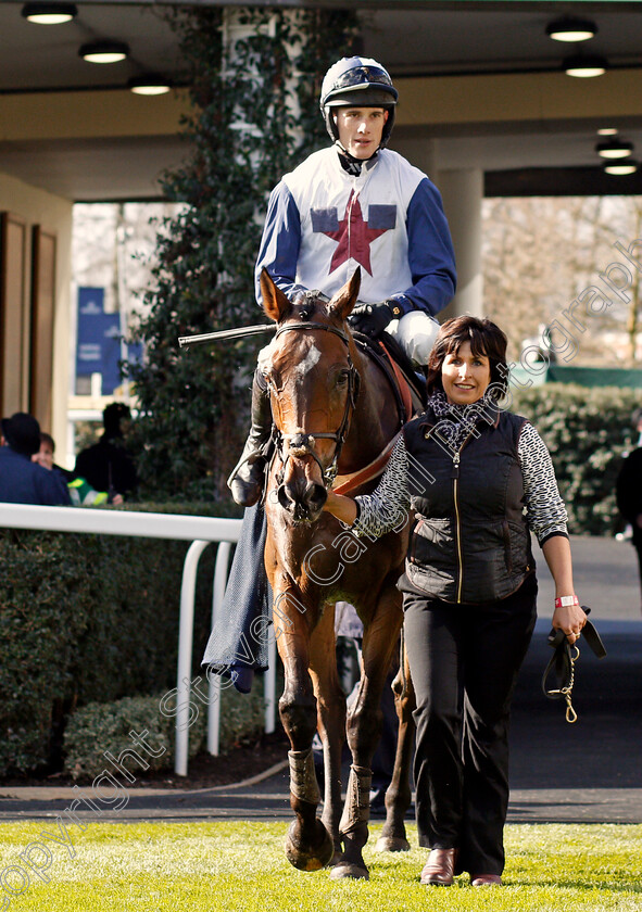 Point-Of-Principle-0004 
 POINT OF PRINCIPLE (Alan Johns) after The Ascot Schools Art Competition Novices Hurdle Ascot 17 Feb 2018 - Pic Steven Cargill / Racingfotos.com