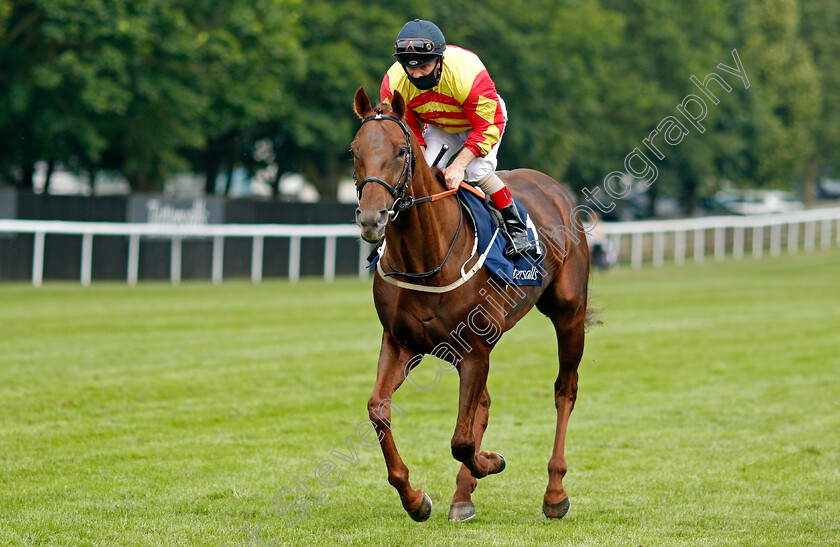 Sir-Ron-Priestley-0001 
 SIR RON PRIESTLEY (Franny Norton) winner of The Princess Of Wales's Tattersalls Stakes
Newmarket 8 Jul 2021 - Pic Steven Cargill / Racingfotos.com