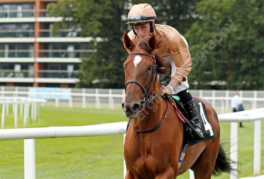 Clitheroe-0001 
 CLITHEROE (Rossa Ryan)
Newbury 13 Aug 2021 - Pic Steven Cargill / Racingfotos.com