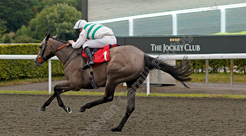 Alla-Stella-0004 
 ALLA STELLA (Luke Morris) wins The Unibet British Stallion Studs EBF Fillies Novice Stakes
Kempton 16 Jul 2024 - Pic Steven Cargill / Racingfotos.com