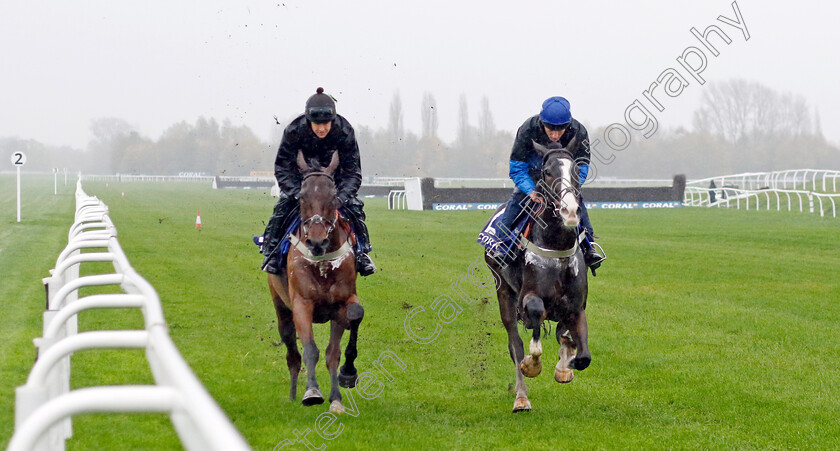 Oscar-Elite-and-Fiddlerontheroof-0002 
 OSCAR ELITE (right, Harry Kimber) with FIDDLERONTHEROOF (left, Brendan Powell) at Coral Gold Cup Weekend Gallops Morning
Newbury 15 Nov 2022 - Pic Steven Cargill / Racingfotos.com