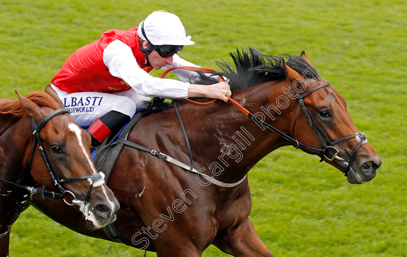 Al-Jellaby-0005 
 AL JELLABY (Adam Kirby) wins The Frank Murray Memorial EBF Novice Stakes Salisbury 7 Sep 2017 - Pic Steven Cargill / Racingfotos.com