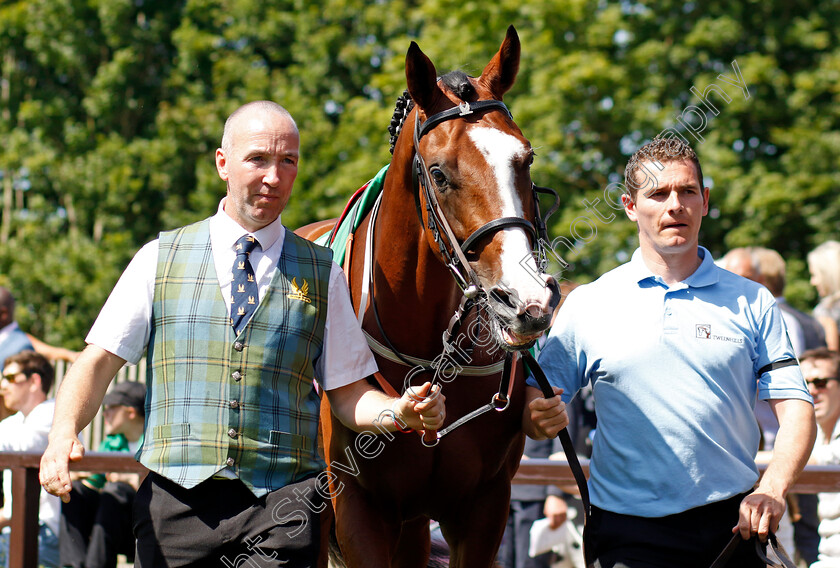 Lion-Of-War-0001 
 LION OF WAR
Newmarket 9 Jul 2022 - Pic Steven Cargill / Racingfotos.com