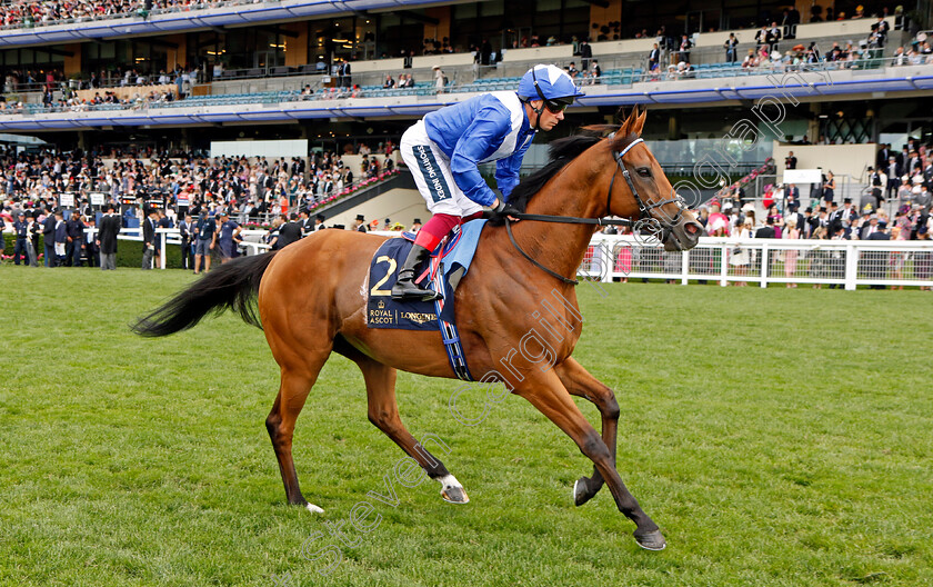 Lord-North-0001 
 LORD NORTH (Frankie Dettori)
Royal Ascot 15 Jun 2022 - Pic Steven Cargill / Racingfotos.com