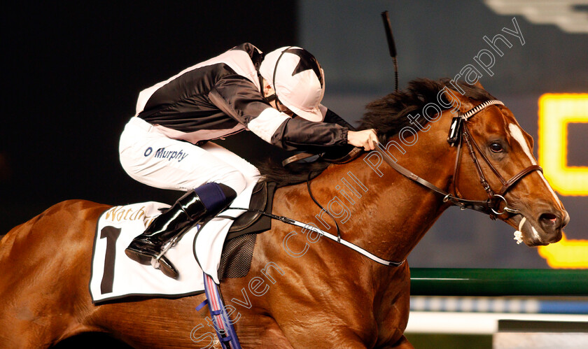 Hit-The-Bid-0007 
 HIT THE BID (Oisin Murphy) wins The Watch Time Handicap Meydan 8 Feb 2018 - Pic Steven Cargill / Racingfotos.com