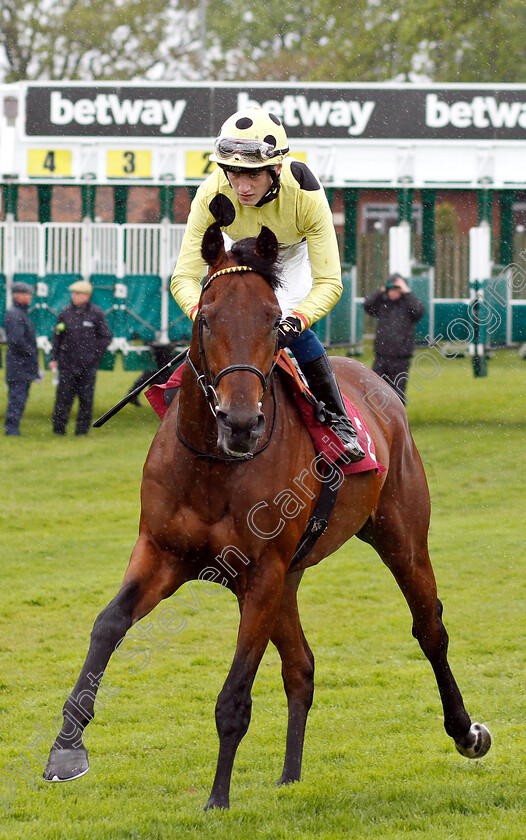 Apparate-0001 
 APPARATE (David Egan) 
Haydock 27 Apr 2019 - Pic Steven Cargill / Racingfotos.com