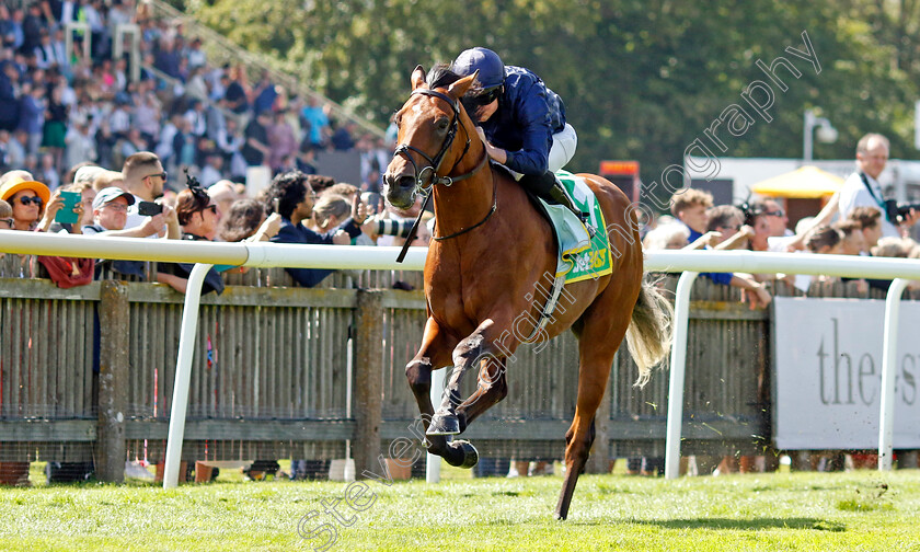 City-Of-Troy-0004 
 CITY OF TROY (Ryan Moore) wins The bet365 Superlative Stakes
Newmarket 15 Jul 2023 - Pic Steven Cargill / Racingfotos.com