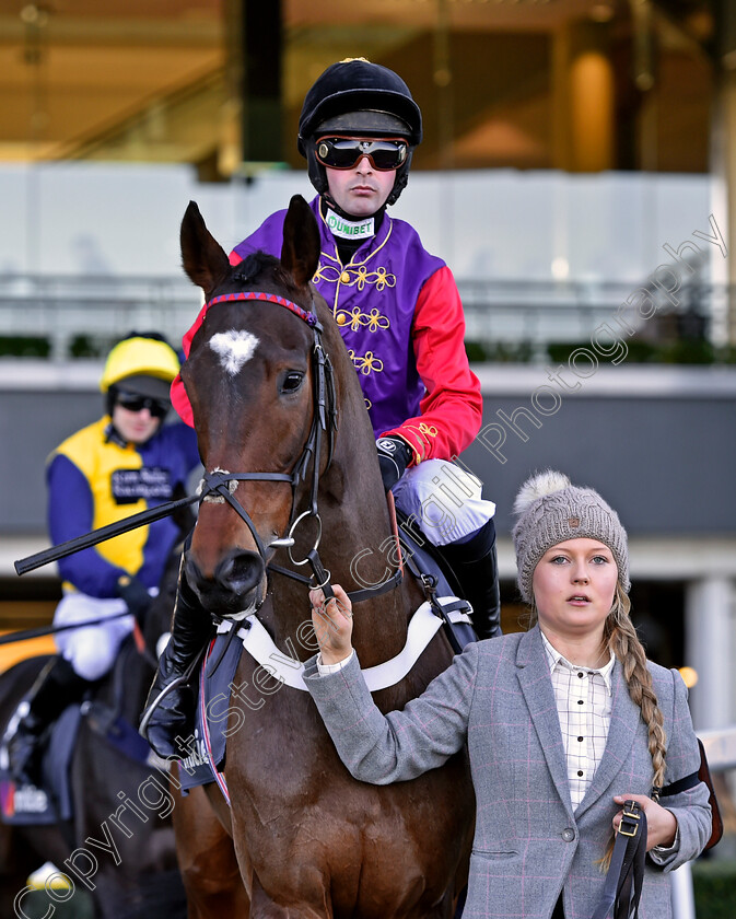 Take-To-Heart-0003 
 TAKE TO HEART (Nico De Boinville) Ascot 25 Nov 2017 - Pic Steven Cargill / Racingfotos.com