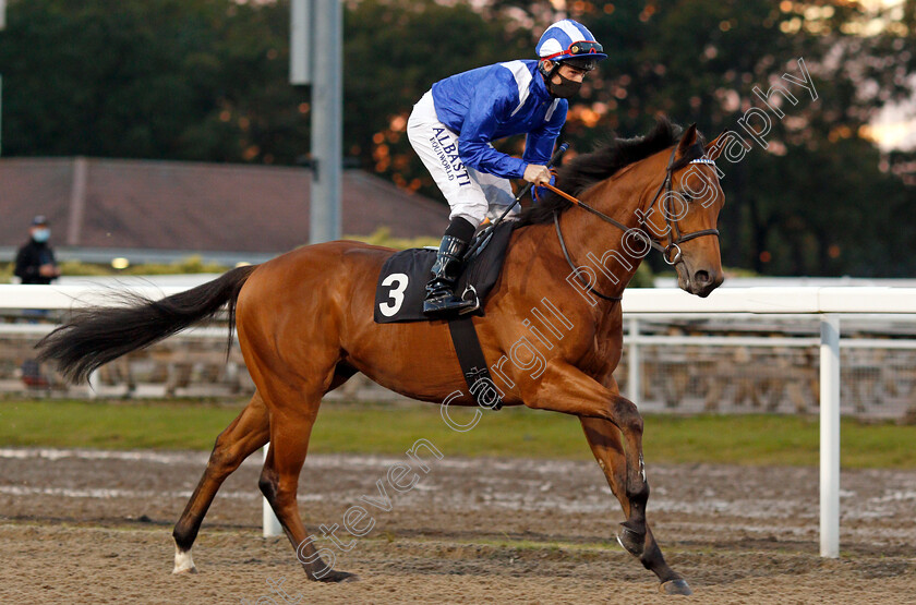 Ertikaaz-0001 
 ERTIKAAZ (Dane O'Neill)
Chlmsford 15 Oct 2020 - Pic Steven Cargill / Racingfotos.com