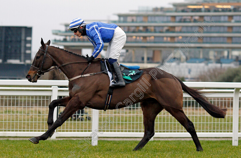 Energumene-0009 
 ENERGUMENE (Paul Townend)
Ascot 22 Jan 2022 - Pic Steven Cargill / Racingfotos.com