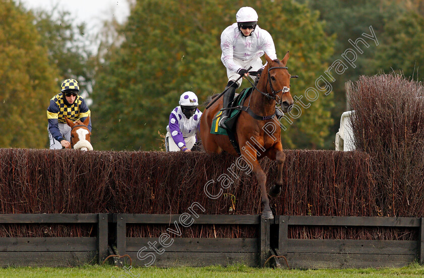 Young-Wolf-0001 
 YOUNG WOLF (Jonjo O'Neill jr)
Fakenham 16 Oct 2020 - Pic Steven Cargill / Racingfotos.com