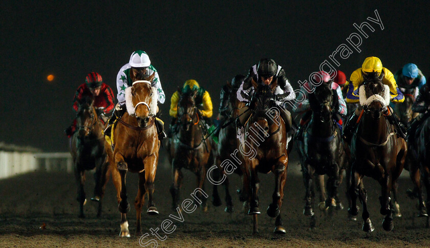 Busby-0001 
 BUSBY (left, Martin Dwyer) beats FULL INTENTION (right) and STRAWBERRY JACK (centre) in The 32Red On The App Store Handicap
Kempton 27 Nov 2019 - Pic Steven Cargill / Racingfotos.com