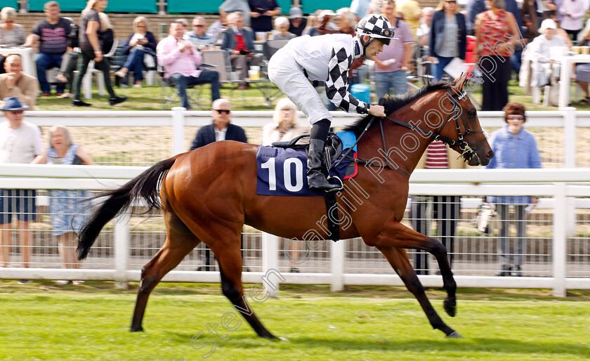 Skyblue-Expert-0001 
 SKYBLUE EXPERT (Christian Howarth)
Yarmouth 13 Sep 2022 - Pic Steven Cargill / Racingfotos.com