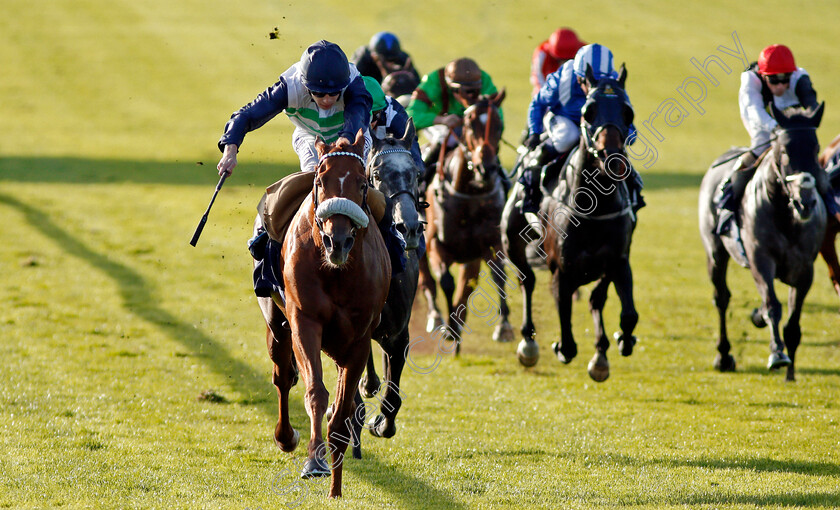 Torcello-0002 
 TORCELLO (Oisin Murphy) wins The Weatherbys General Stud Book Online Handicap Newmarket 28 Sep 2017 - Pic Steven Cargill / Racingfotos.com