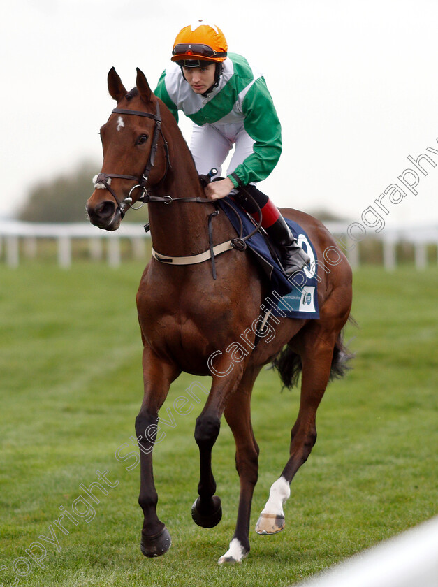 True-Self-0001 
 TRUE SELF (Colin Keane) before winning The British Stallion Studs EBF Beckford Stakes
Bath 17 Oct 2018 - Pic Steven Cargill / Racingfotos.com