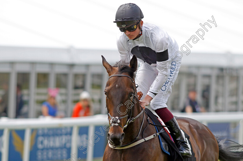 Variyann 
 VARIYANN (Rob Hornby)
Epsom 3 Jul 2022 - Pic Steven Cargill / Racingfotos.com