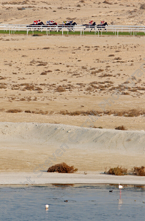 Bahrain-0005 
 Racing down the back straight
Sakhir Racecourse, Bahrain 19 Nov 2021 - Pic Steven Cargill / Racingfotos.co