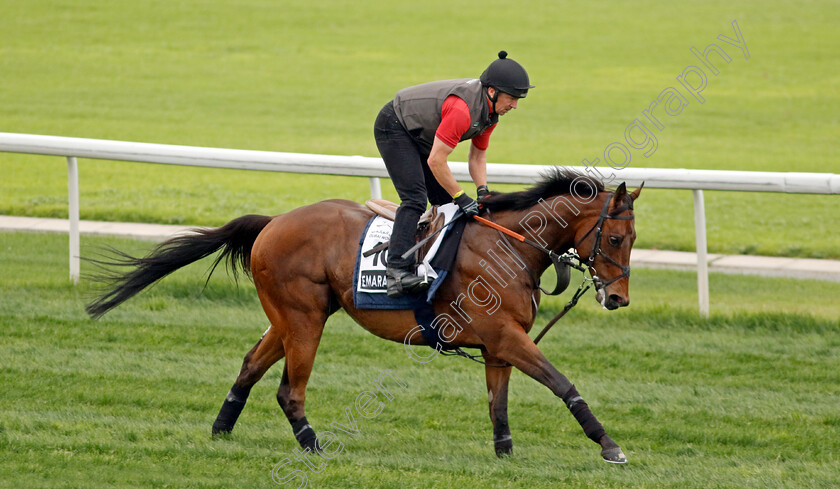 Emaraaty-Ana-0001 
 EMARAATY ANA training for The Al Quoz Sprint
Meydan Dubai 26 Mar 2024 - Pic Steven Cargill / Racingfotos.com