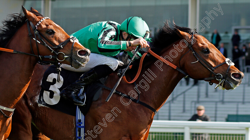 Century-Dream-0005 
 CENTURY DREAM (William Buick) wins The Celebrating The Commonwealth Paradise Stakes Ascot 2 May 2018 - Pic Steven Cargill / Racingfotos.com