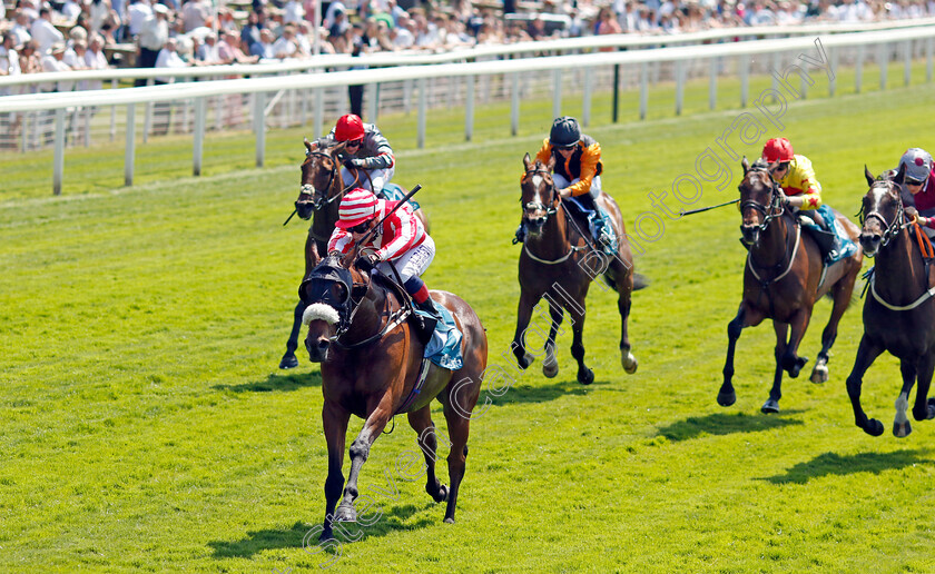 Menelaus-0004 
 MENELAUS (Connor Planas) wins The Andy Thornton Hospitality Furniture Handicap
York 16 Jun 2023 - Pic Steven Cargill / Racingfotos.com