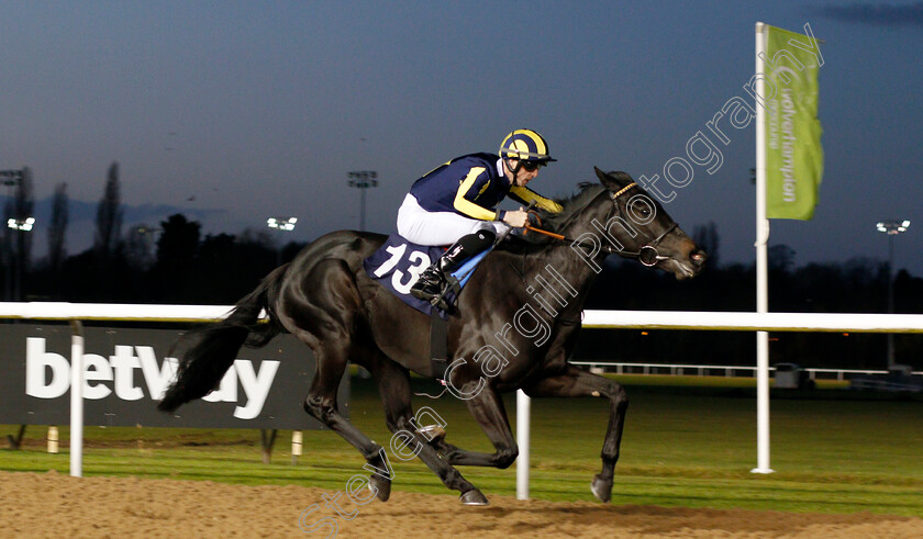 Waliyak-0002 
 WALIYAK (Jack Mitchell) wins The Ladbrokes Fillies Novice Stakes
Wolverhampton 26 Nov 2019 - Pic Steven Cargill / Racingfotos.com