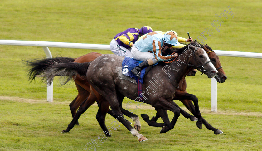 Garbanzo-0002 
 GARBANZO (Liam Keniry) wins The Get Daily Tips For Free On attheraces.com Handicap
Ffos Las 14 Aug 2018 - Pic Steven Cargill / Racingfotos.com