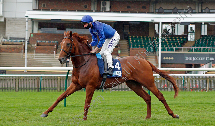 Hurricane-Lane-0001 
 HURRICANE LANE (Adam Kirby) winner of The British EBF Future Stayers Novice Stakes
Newmarket 21 Oct 2020 - Pic Steven Cargill / Racingfotos.com