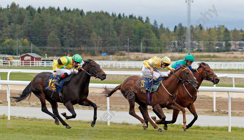 Corinthia-Knight-0001 
 CORINTHIA KNIGHT (Luke Morris) beats PUDS (left) and AMBIANCE (farside) in The Clarion Sign Bro Park Sprint Championship
Bro Park, Sweden 22 Sep 2019 - Pic Steven Cargill / Racingfotos.com