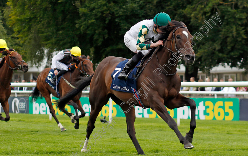 Porta-Fortuna-0003 
 PORTA FORTUNA (Ryan Moore) wins The Tattersalls Falmouth Stakes
Newmarket 12 Jul 2024 - pic Steven Cargill / Racingfotos.com