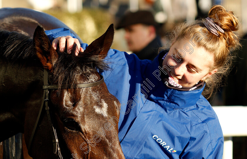 Blueking-d Oroux-0006 
 BLUEKING D'OROUX winner of The Coral Hurdle
Ascot 25 Nov 2023 - Pic Steven Cargill / Racingfotos.com