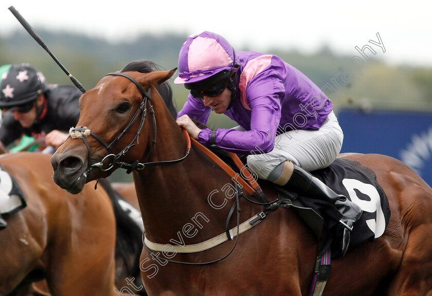 Mountain-Peak-0005 
 MOUNTAIN PEAK (Liam Keniry) wins The Halgarten Wines Handicap
Ascot 8 Sep 2018 - Pic Steven Cargill / Racingfotos.com