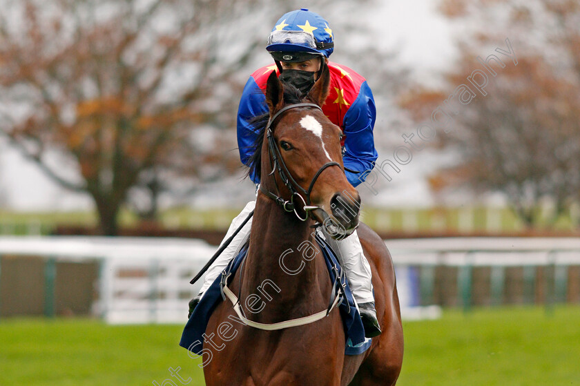 Coul-Queen-0003 
 COUL QUEEN (Harry Bentley)
Newmarket 31 Oct 2020 - Pic Steven Cargill / Racingfotos.com