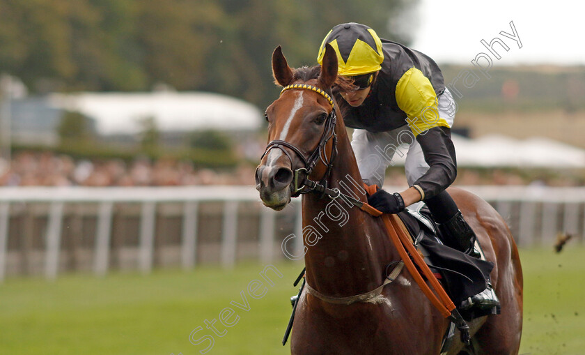 Wajd-0006 
 WAJD (Louis Steward) wins The racingtv.com Handicap
Newmarket 29 Jul 2022 - Pic Steven Cargill / Racingfotos.com