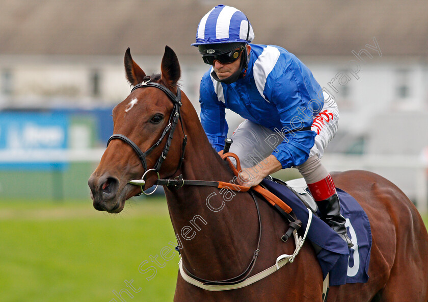 Huboor-0002 
 HUBOOR (Franny Norton)
Yarmouth 16 Sep 2020 - Pic Steven Cargill / Racingfotos.com