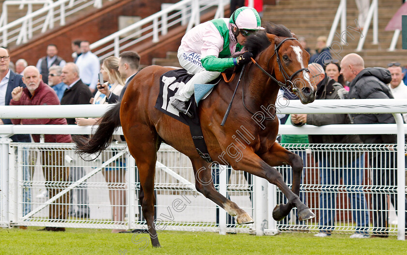 Royal-Scotsman-0006 
 ROYAL SCOTSMAN (Jim Crowley) wins The William Hill Acca Club British EBF Novice Stakes
Goodwood 20 May 2022 - Pic Steven Cargill / Racingfotos.com